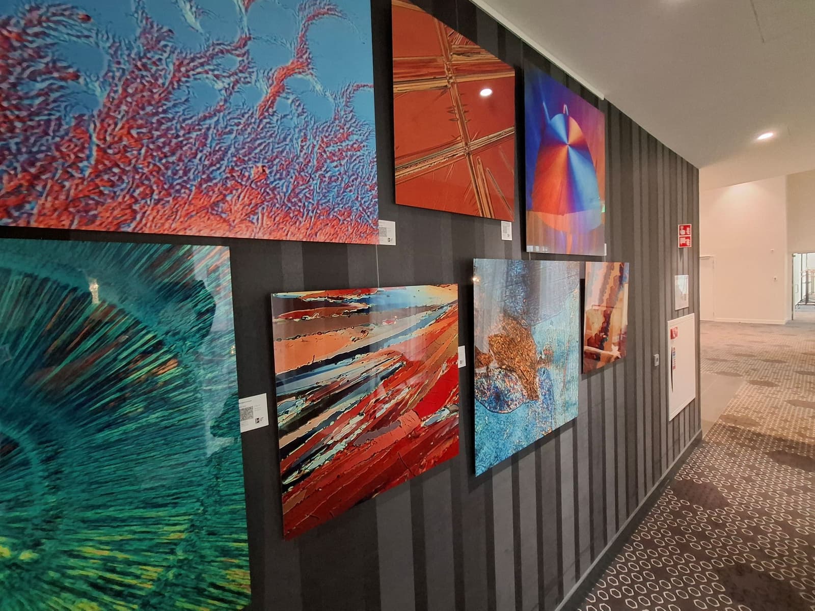 Jelte Prins @ Novotel Schiphol Airport hotel 4