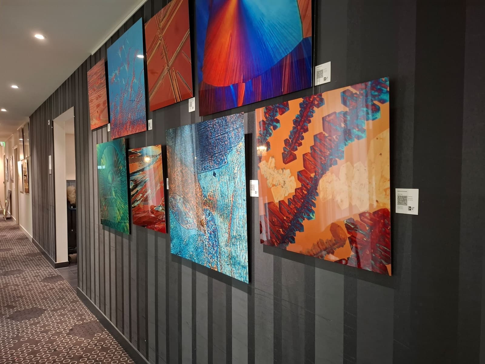 Jelte Prins @ Novotel Schiphol Airport hotel