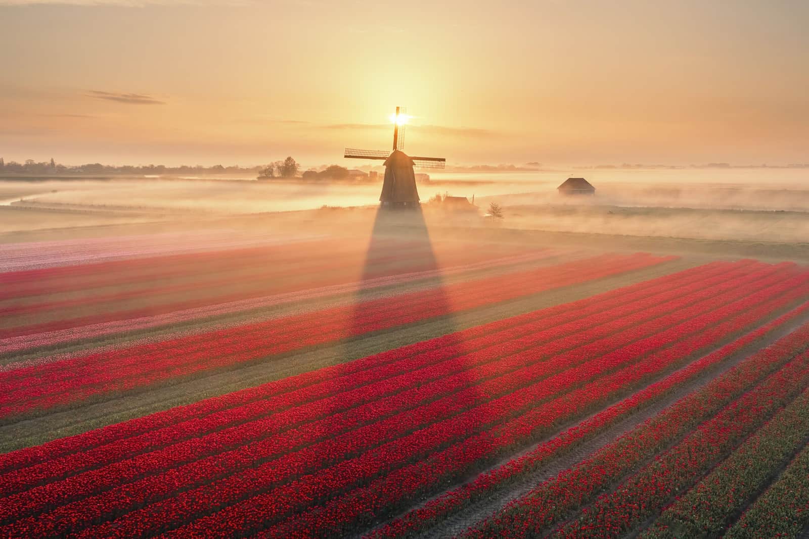 Morning Shadow