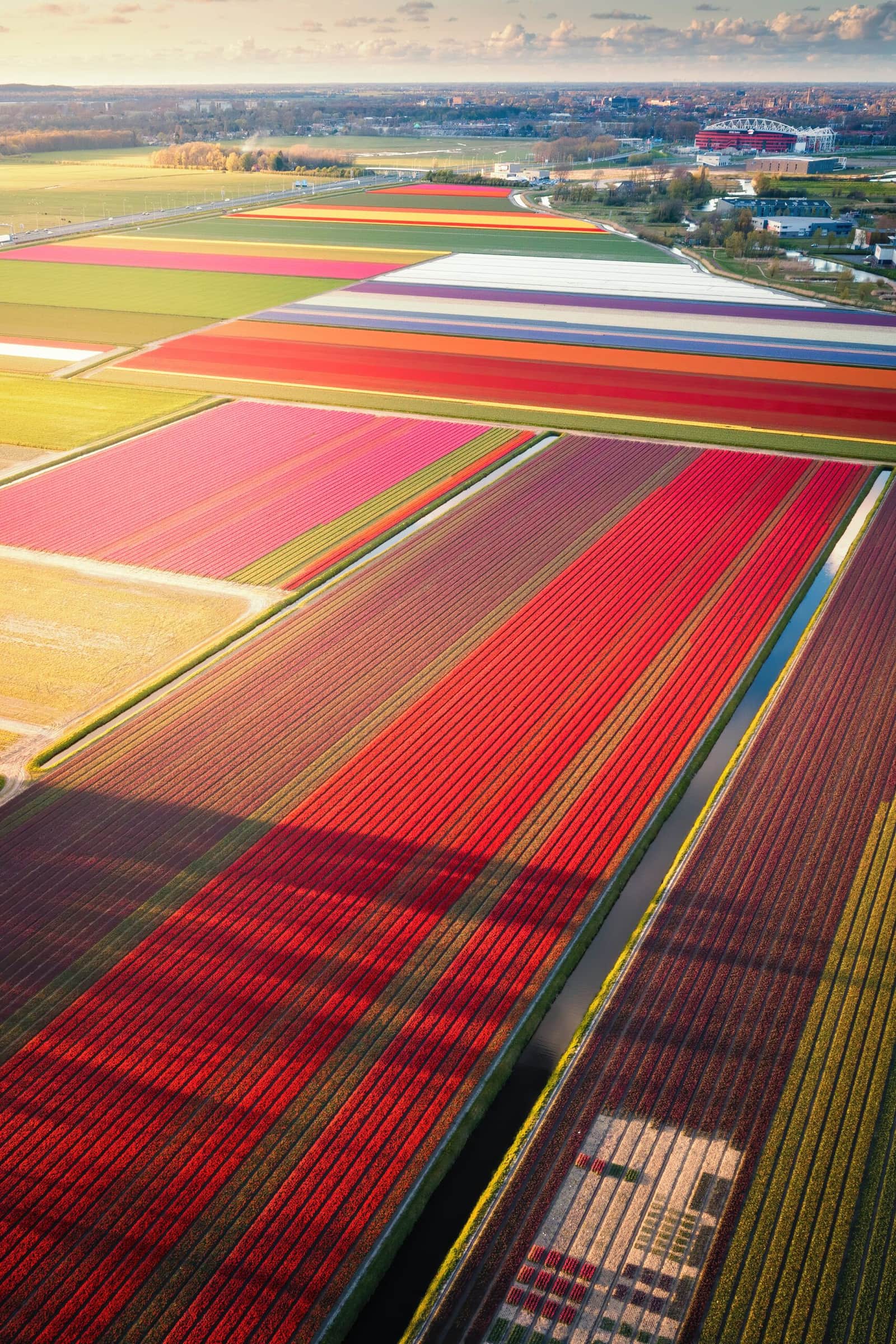 Colorfull Carpets